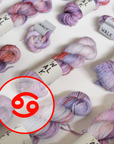 STRICKSET "Zodiac"