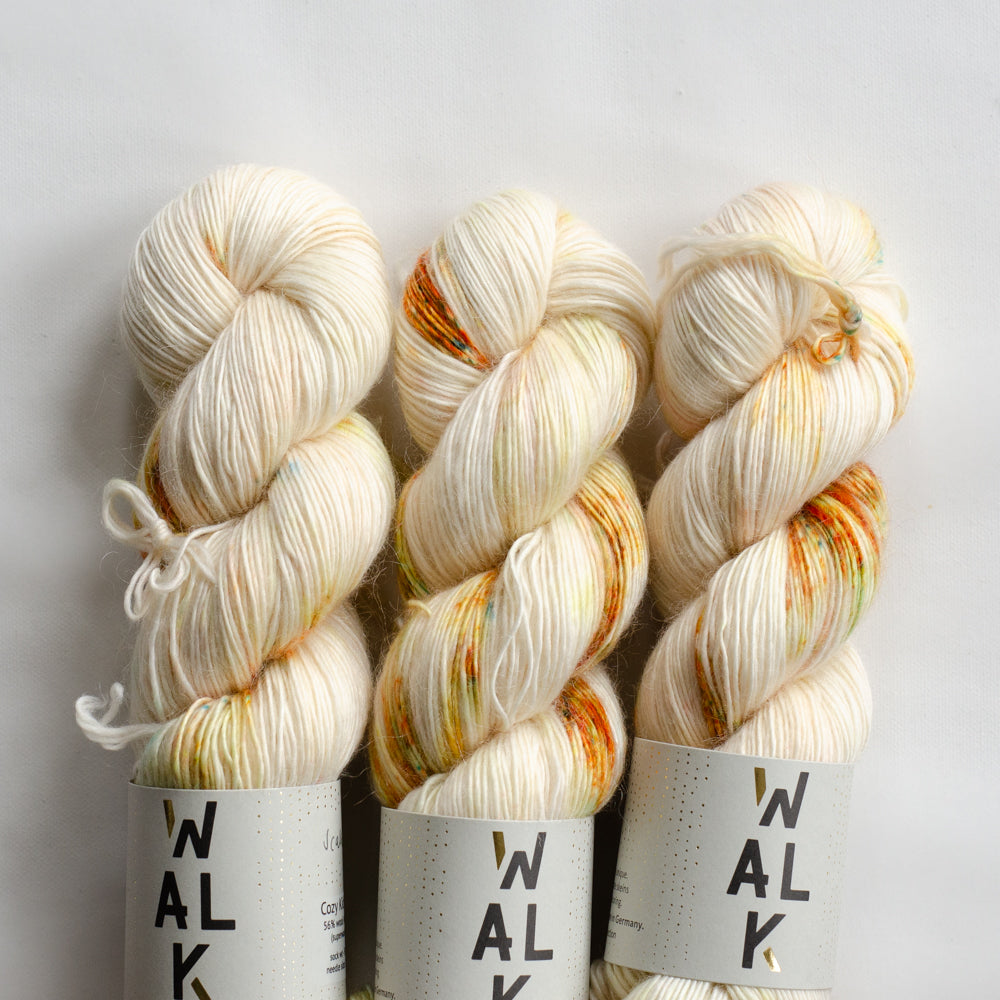 Walk Collection② Cozy Merino 3カセ Walk Collection Cozy Merino 4