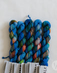Tough Sock Mini - Variegated - ready to ship colors