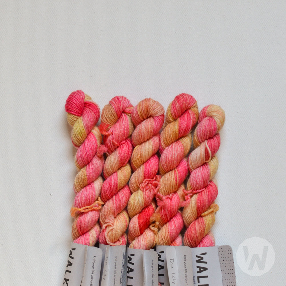 Tough Sock Mini - Variegated - versandfertige Farben