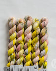 Tough Sock Mini - Variegated - ready to ship colors