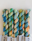 Tough Sock Mini - Variegated - ready to ship colors