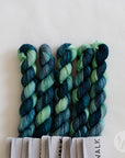 Tough Sock Mini - Variegated - ready to ship colors