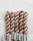 Tough Sock Mini - Variegated - ready to ship colors