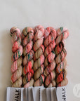 Tough Sock Mini - Variegated - ready to ship colors