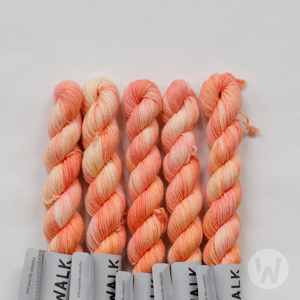 Tough Sock Mini - Variegated - versandfertige Farben