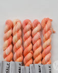 Tough Sock Mini - Variegated - ready to ship colors