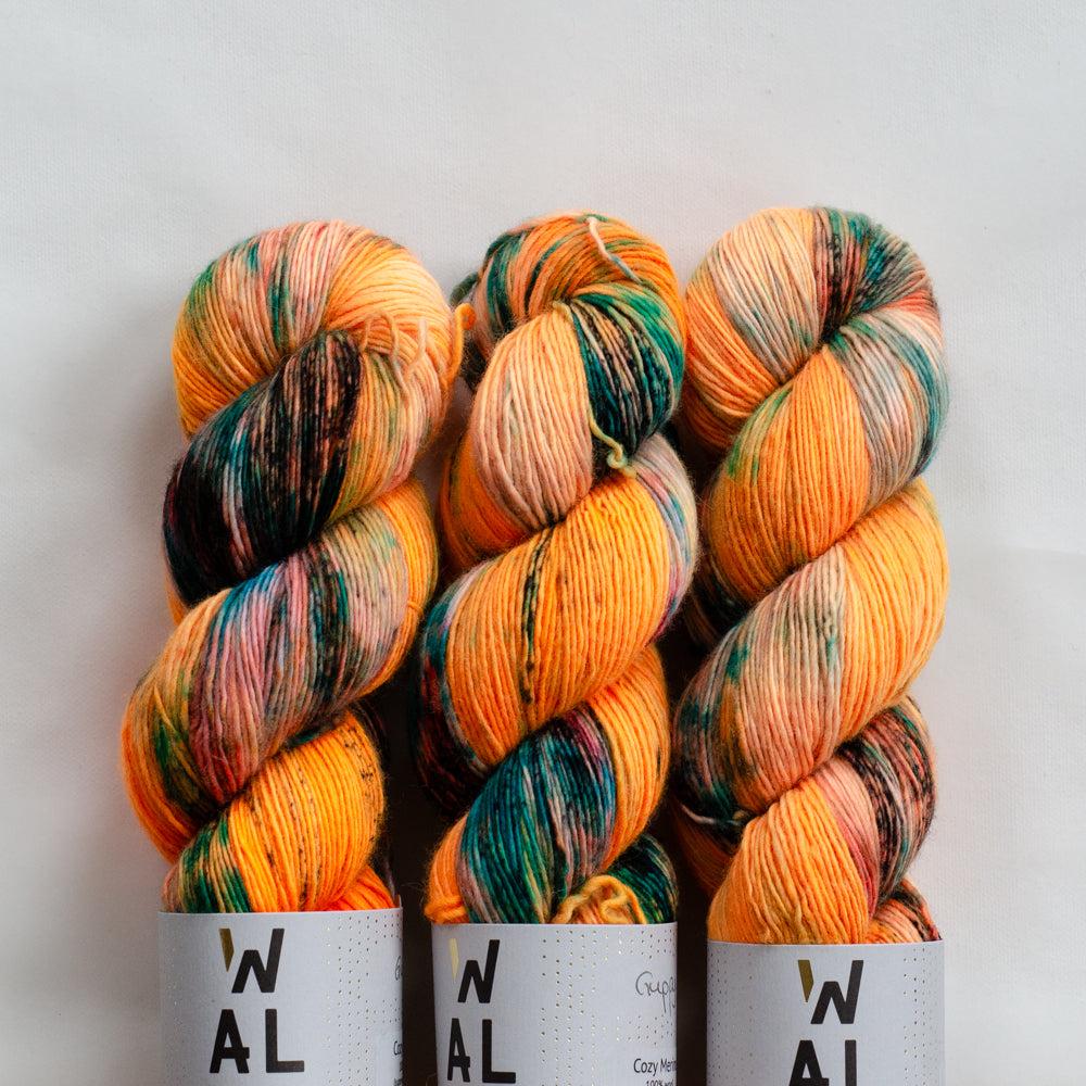 Cozy Merino &quot;Guppy&quot; - ready to ship colors