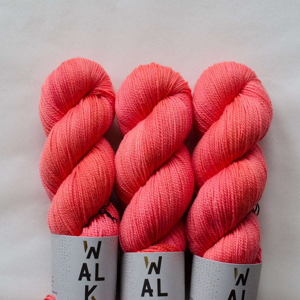 Color Walk Collection Merino Sport