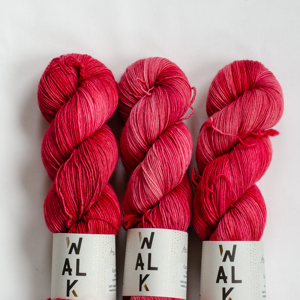 Color Walk Collection Cozy Merino