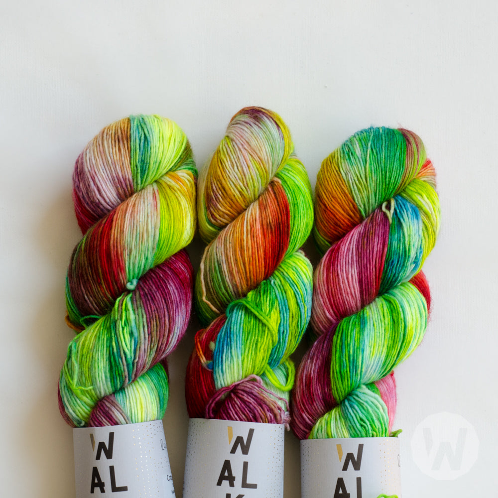Cottage Merino &quot;Rainbow&quot; - ready to ship colors