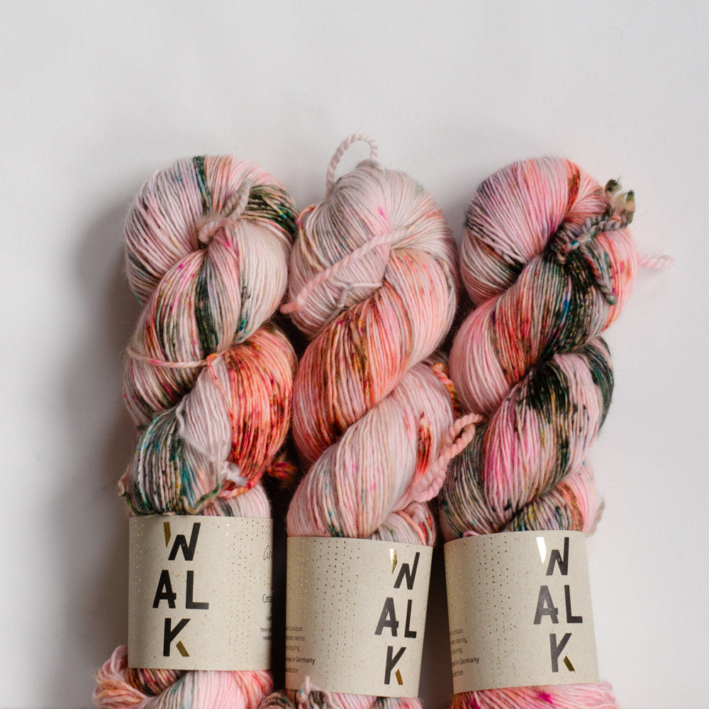 Walk Collection Cozy Merino 4カセセット Merino Wool Bundles | Save