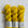 Goldenrod