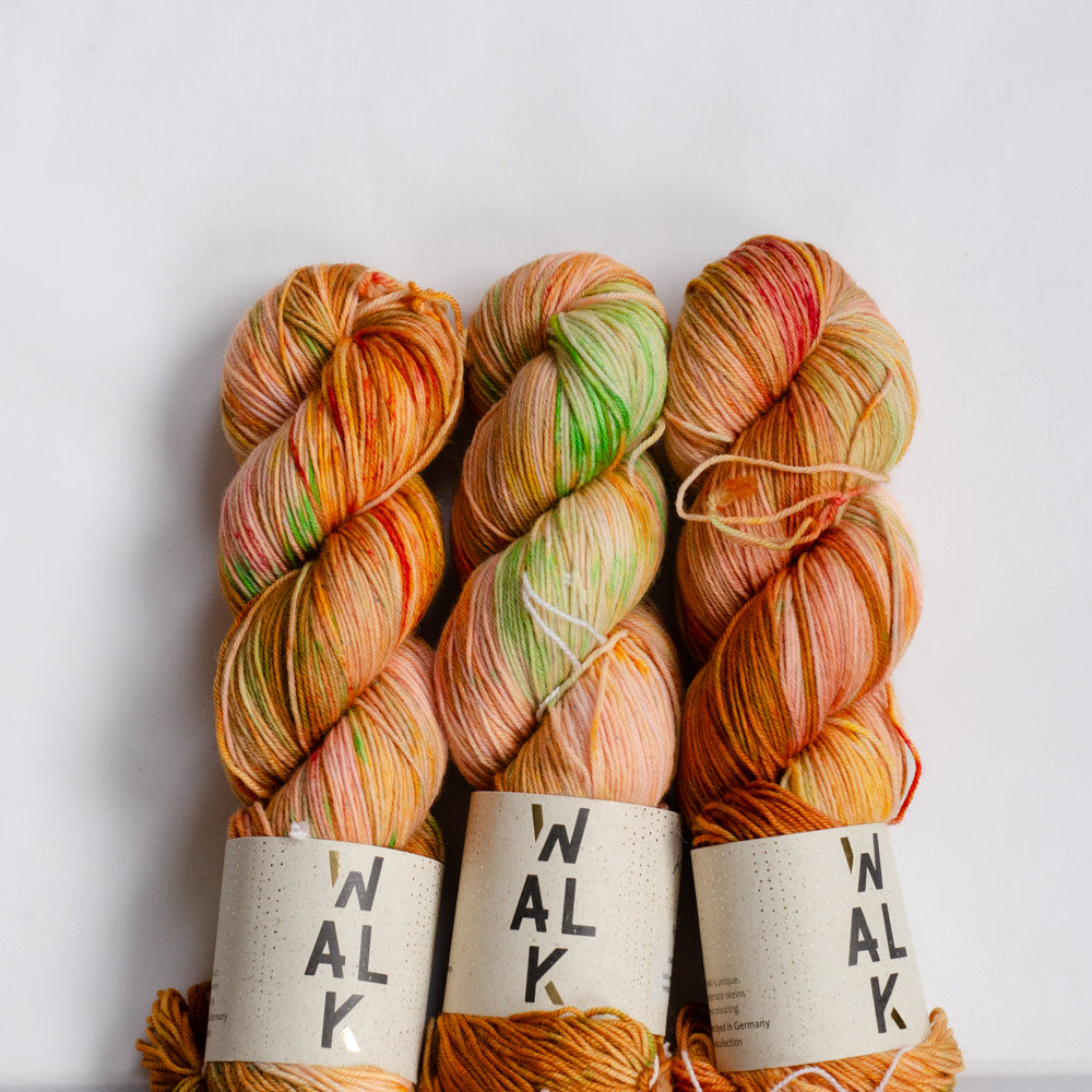 Color Walk Collection Pure Sock