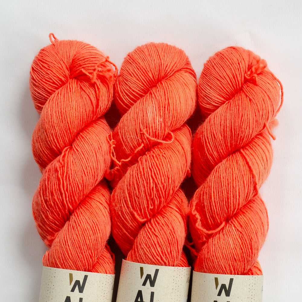 Cozy Merino "Random Walk 