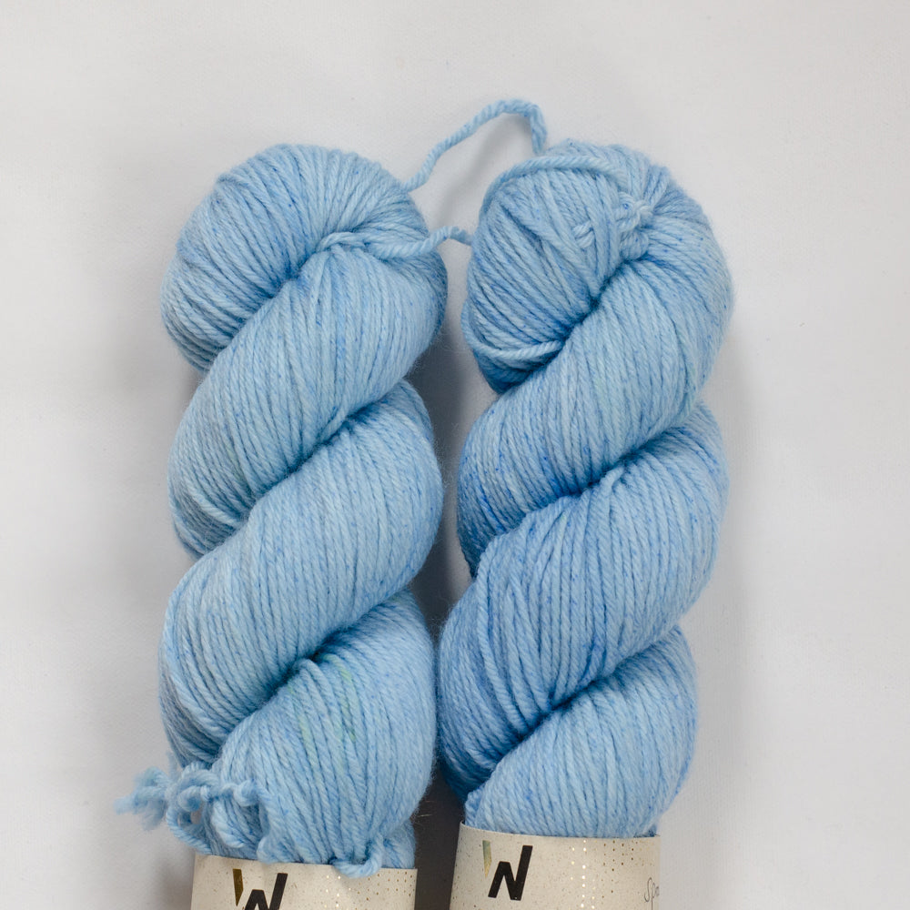 2. Wahl / Seconds - Merino DK "Spray"