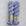 forget-me-not