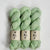Fern