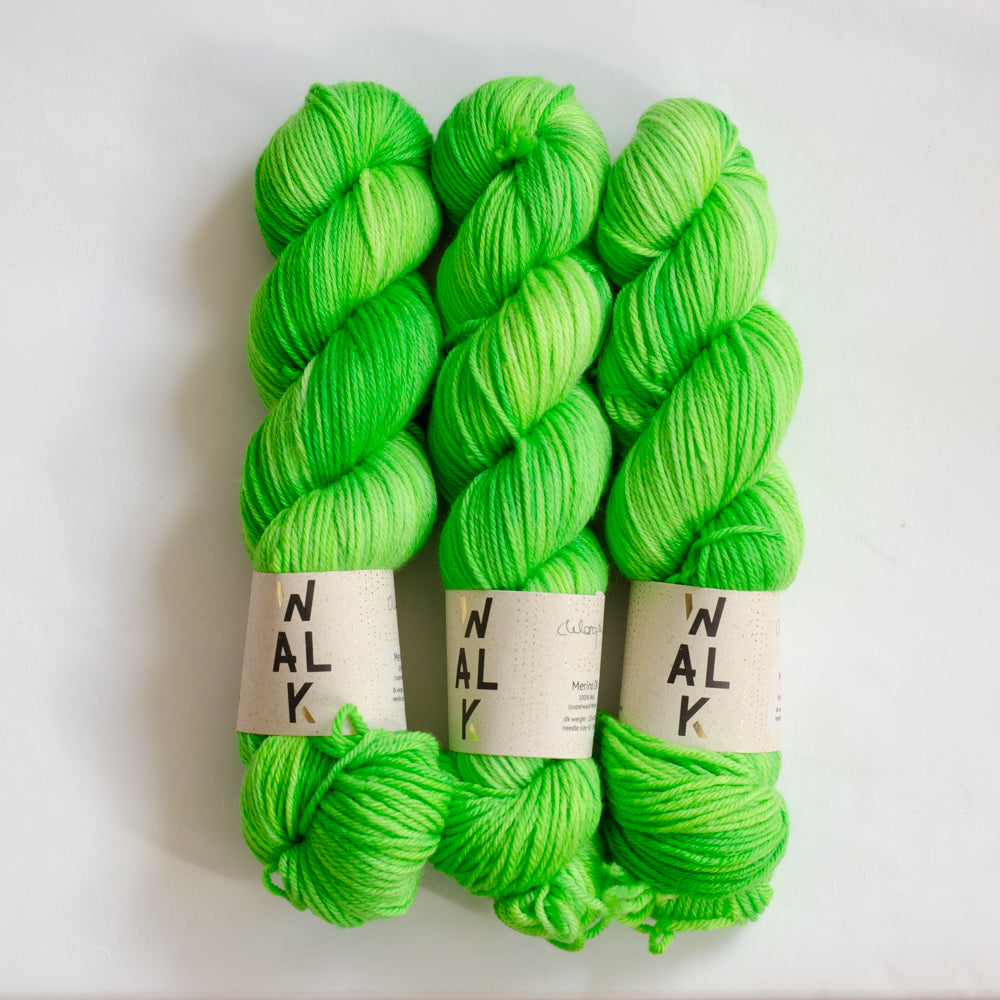 Merino DK "Chlorophyll" - versandfertige Farben