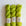 Chartreuse