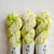 Lemonade Pop