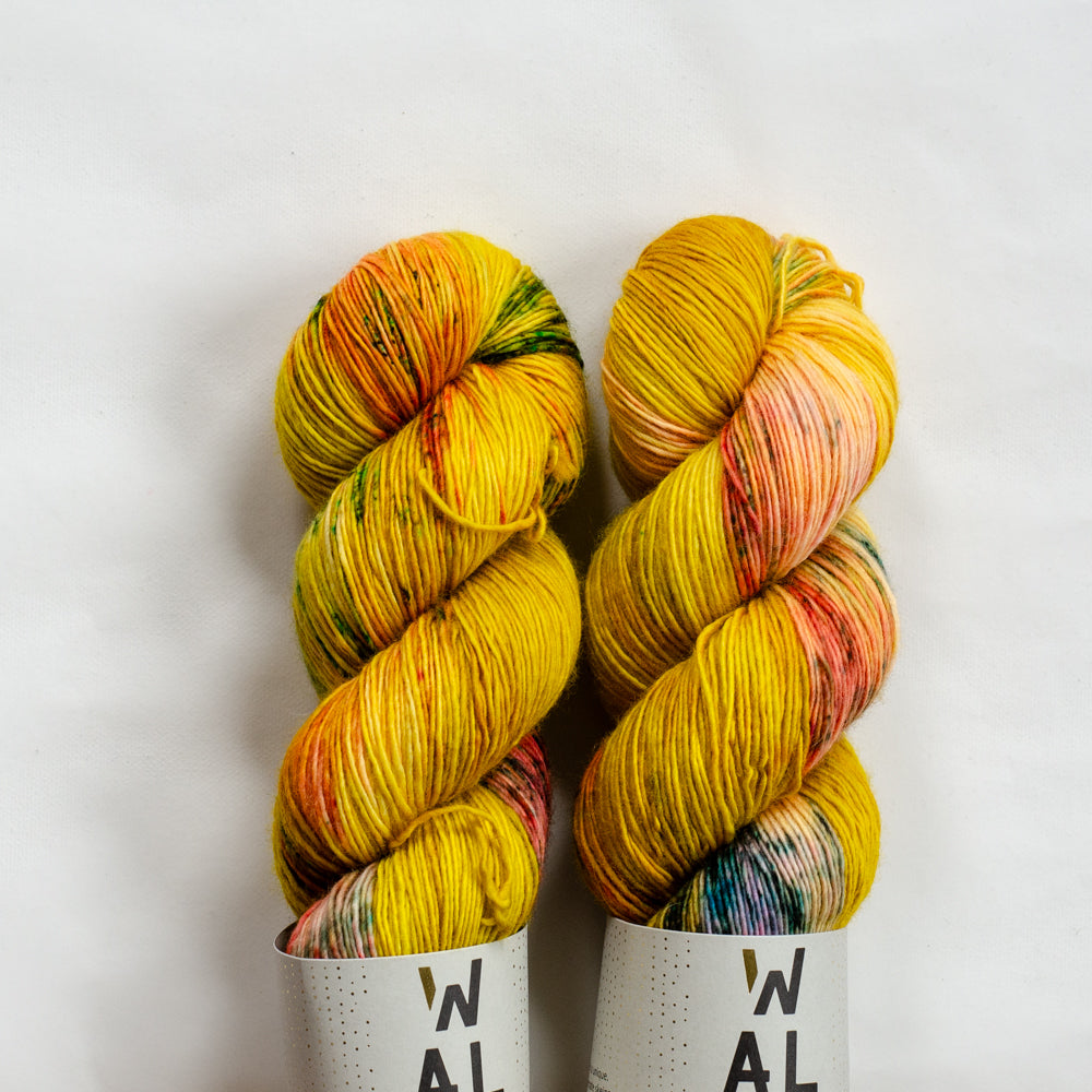 Color Walk Collection Cozy Merino