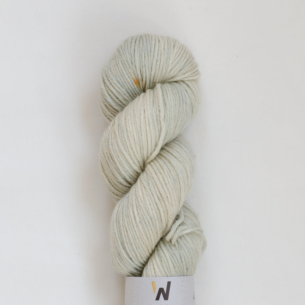 2. Wahl / Seconds - Merino DK "Succulent"