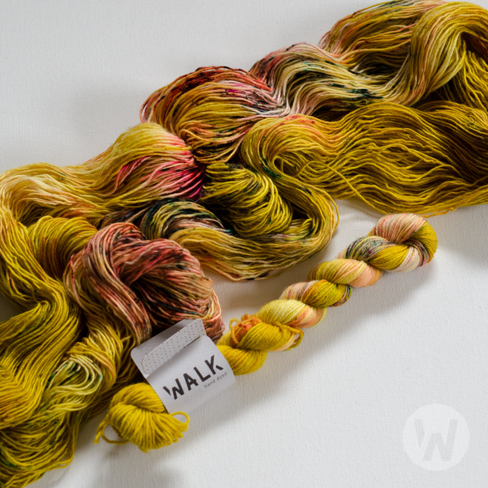 Yarn Solar System Solar System - custom dye order β Walk Collection - Cathrin Walk GmbH ...