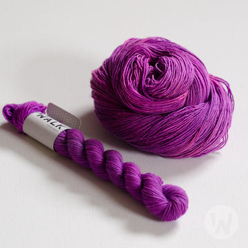Wild Orchid - Sonderbestellung